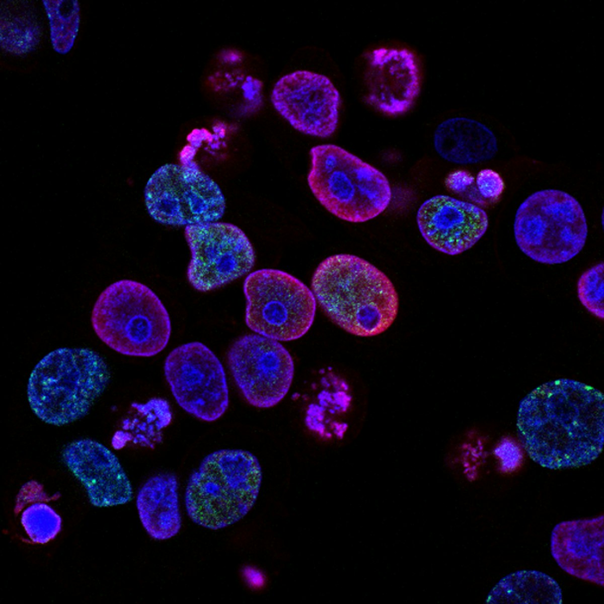 OpenAI Rosalind Biodefense DI medicina pandemijų prevencija laboratorija