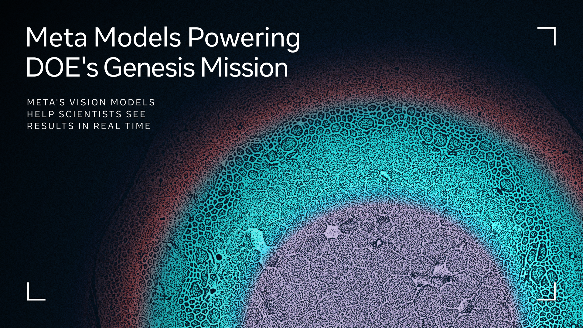 Meta Genesis: atviri DI modeliai keliasi į laboratorijas