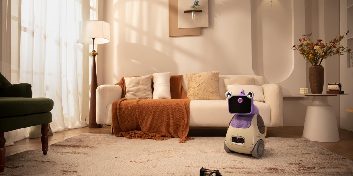 DI robotai namuose: draugystės pažadas dar turi daug kampų