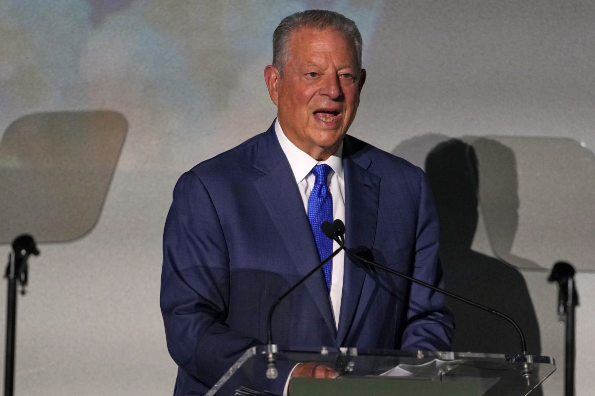 Al Gore kalba apie DI duomenų centrų ir technologijos rizikas
