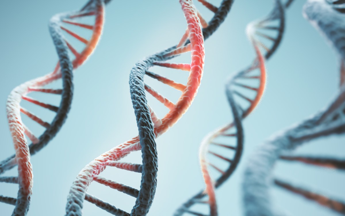 DNR iliustracija DI biologijos tyrimams