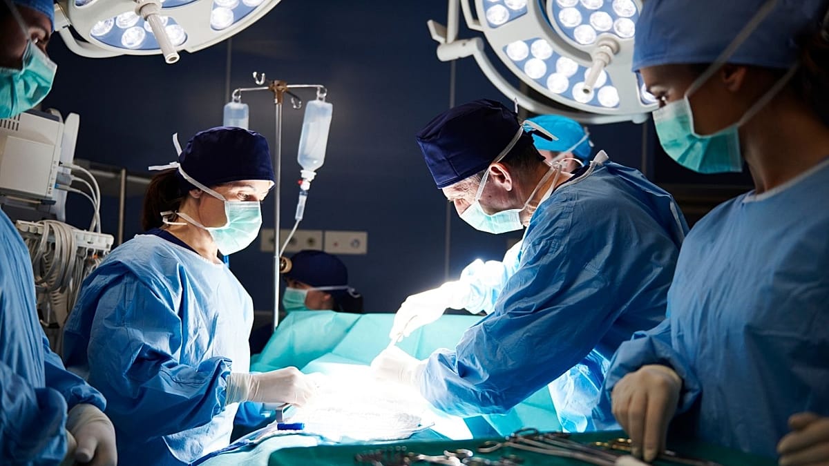 Gydytojų sprendimai ir DI transplantacijų eilėje